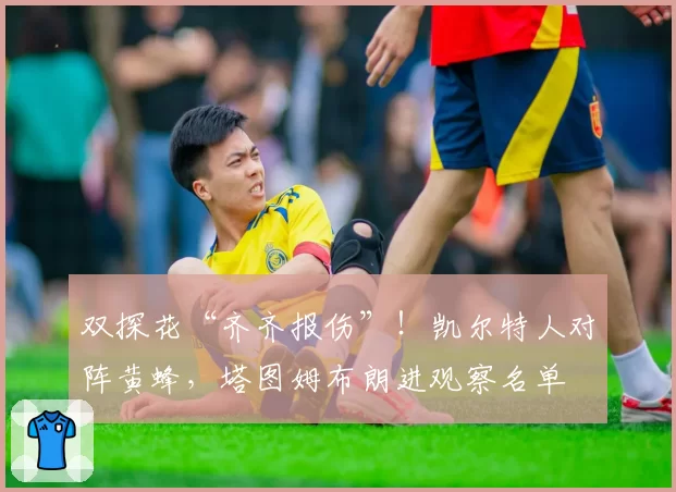 双探花“齐齐报伤”！凯尔特人对阵黄蜂，塔图姆布朗进观察名单