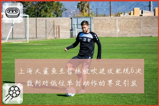 上海大鲨鱼王哲林被吹进攻犯规6次,裁判对低位单打动作的界定引发热议