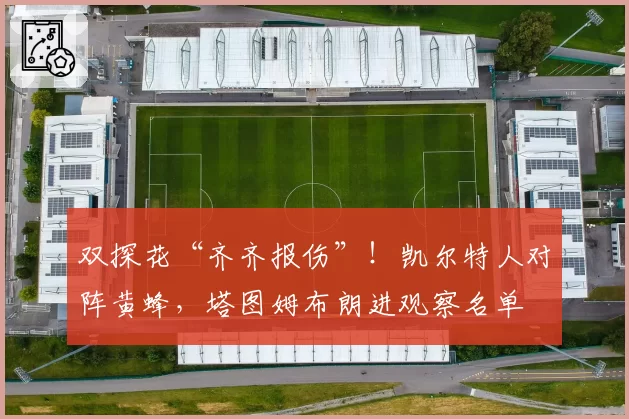 双探花“齐齐报伤”！凯尔特人对阵黄蜂，塔图姆布朗进观察名单